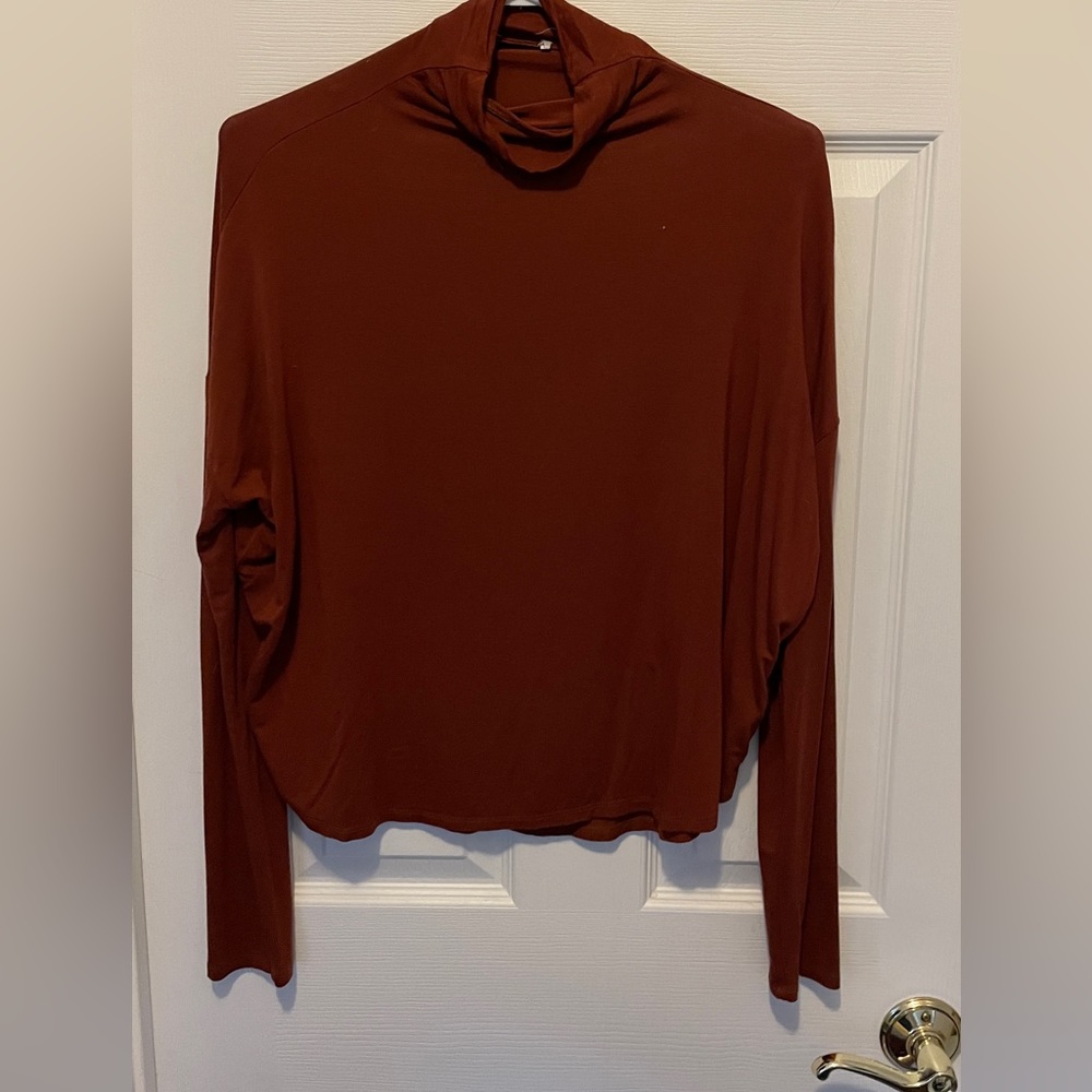 Aritzia Long Sleeve Turtleneck Top in Deep Rust